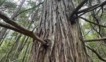 8 5+/- Ac Keyser Mill Rd, Baker, FL 32531