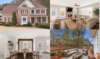 9005 Old Etowah Dr, Ball Ground, GA 30107