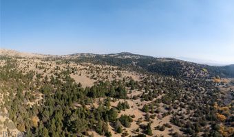 NHN Trails End Drive, Anaconda, MT 59711