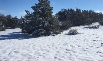 425 N 8051, Concho, AZ 85924