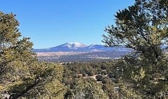 N8689 lot 002P, Concho, AZ 85924