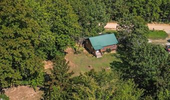 1300 County Road 113 Cabin 1, Alton, MO 65606