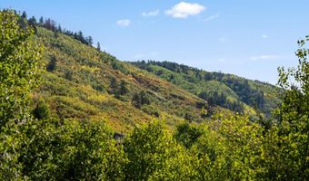 42 Northway Dr, Aspen, CO 81611