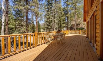 6 County Rd 2042, Alpine, AZ 85920