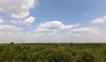 2711 Hatley Rd, Fife Lake, MI 49633