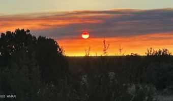 727 County Road 8500, Concho, AZ 85924