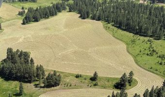 1881 Mill Rd, Anatone, WA 99401