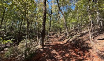 0 Slasham Rd, Ashville, AL 35953