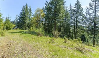 25308 NW MOUNTAIN Dr, Banks, OR 97106