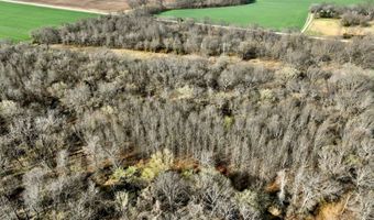 0002 CR-290, Asbury, MO 64832