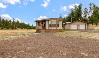 4 County Road 2110, Alpine, AZ 85920
