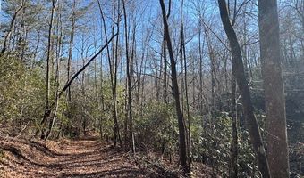 1834 Bristol Ave, Andrews, NC 28901