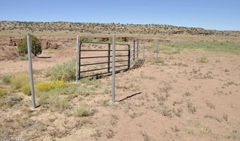 32 N8429, Concho, AZ 85924