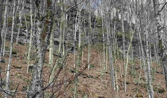 493 Wheeler Mountain Rd, Barton, VT 05822