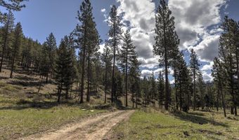 Nhn Mountain Vista Lane, Alberton, MT 59820