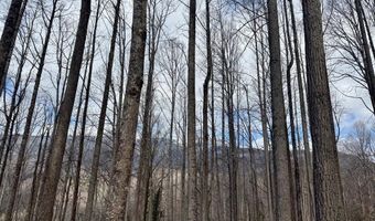 Letties Ln, Balsam, NC 28779