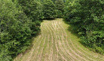 Sulphur Creek Road, Big Sandy, TN 38221