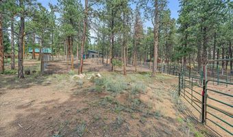 104 Six Bits St, Bailey, CO 80421