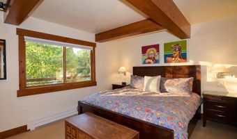 131 E Durant Ave 410, Aspen, CO 81611