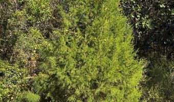 129 Water Oaks Way, Apalachicola, FL 32320