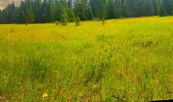 NNA Ginger Ln, Bonners Ferry, ID 83805