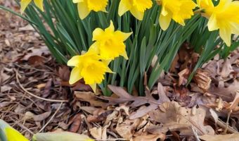 75 Cisco Rd, Asheville, NC 28805