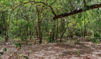 SE 152ND - LOT 17 RAVENSWOOD RD PARCEL C Place, Altoona, FL 32702