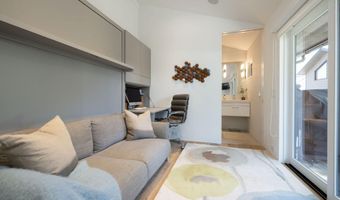 950 E Durant Ave 4, Aspen, CO 81611