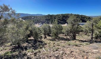 440 Run Around Rd, Arboles, CO 81121