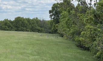 DOWNES ROAD, Bergman, AR 72615