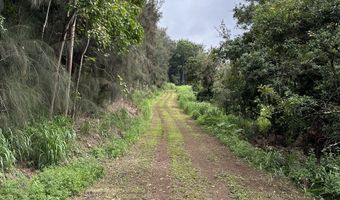 47-4536 HONOKAA WAIPIO Rd Lot #: B-1, Honokaa, HI 96727