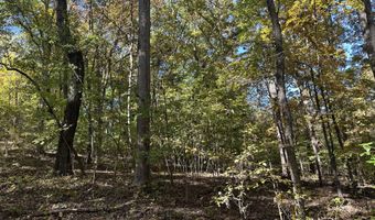Lot 1215 Iron Gate Drive, Baneberry, TN 37890