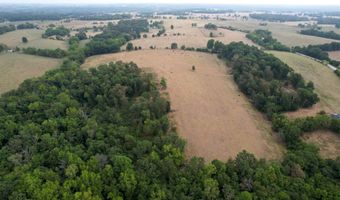 519 State Highway Jj, Aurora, MO 65605