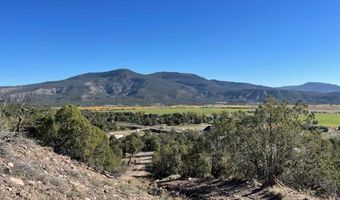 440 Run Around Rd, Arboles, CO 81121