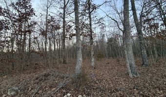 County Road 204, Alton, MO 65606