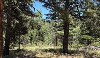 Spanish Peaks Dr, Aguilar, CO 81020