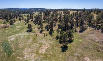 10504 Windmill Ridge Ln, Belle Fourche, SD 57717