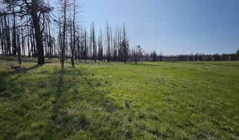 Parazoo Trail Lot 2 Block 8, Bly, OR 97622
