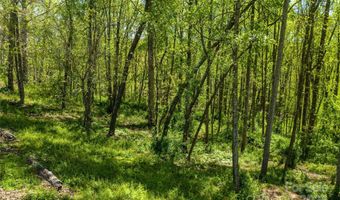 9999 Bee Balm Way 55, Asheville, NC 28804