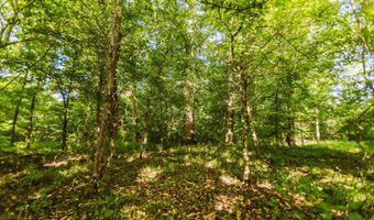 235 Woodrow Martin Rd, Brandon, MS 39042