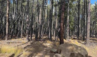 Alamosa Terrace lot 929, Angel Fire, NM 87710