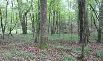 NE Hopewell Road, Brookhaven, MS 39601