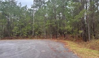 Lot 2 Jacquelyn Court, Bainbridge, GA 39819