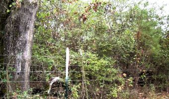 160 LR 717, Ashdown, AR 71822