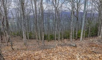 TBD Lot # 46 Woodlily Drive, Banner Elk, NC 28604