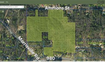 980 MORRISVILLE Rd, Anniston, AL 36201