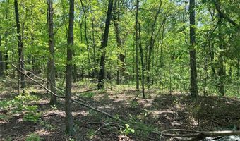 0 County Road 224, Alton, MO 65606