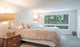 198 Poudre River Rd, Bellvue, CO 80512