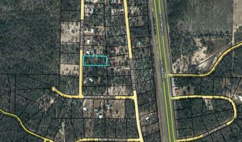 Sadorus Avenue lot 14, Alford, FL 32420