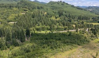 Lewis River Rd, Ariel, WA 98603